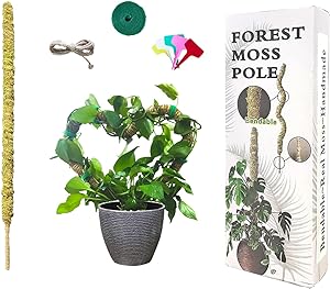 Photo 1 of 47” Moss Pole for Plants 100% Natural Sphagnum Moss Plant Support Stakes Bendable DIY Shape for Monstera, Sphagnum, Indoor Climbing Potted Plants (47“, 1pcs)