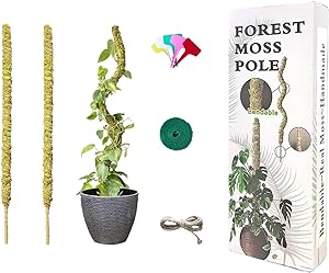 Photo 2 of 23.5“ Moss Pole for Plants 100% Natural Sphagnum Moss Plant Support Stakes Bendable DIY Shape for Monstera, Sphagnum, Indoor Climbing Potted Plants (23.5”, 2pcs)