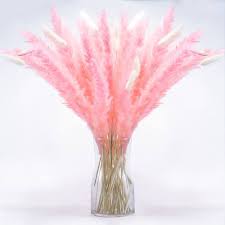 Photo 1 of 17.72" Dried Pink Pampas Grass 30 Pcs?30 Pcs White Bunny Tails, Natural Home Decor & Ideal for Flower Arrangements, Wedding Plants(60 Pcs)