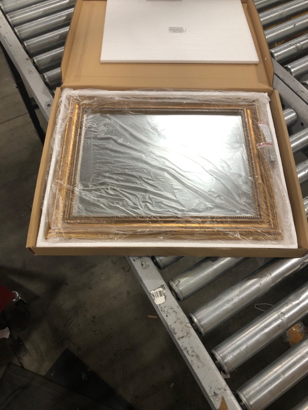 Photo 1 of 19 x 15 mirror frame