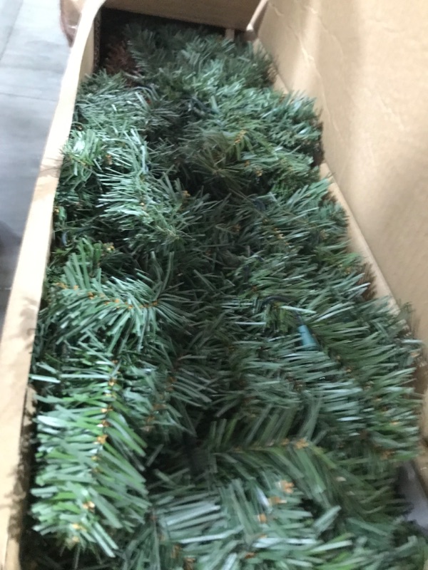 Photo 2 of 5' Everett Pine Tree 200ct Incandescent Clear Lights