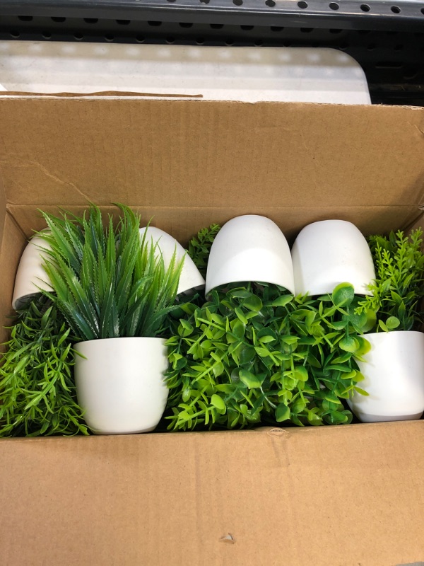 Photo 1 of 12Pack Mini Fake Plants with Pot for decorations