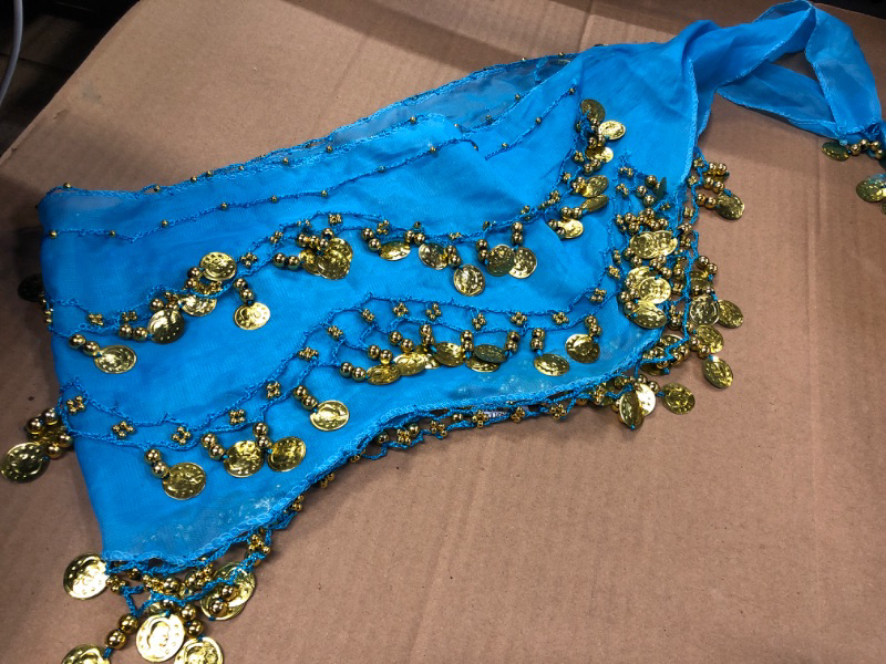 Photo 1 of  Belly Dance Belt Outfit  