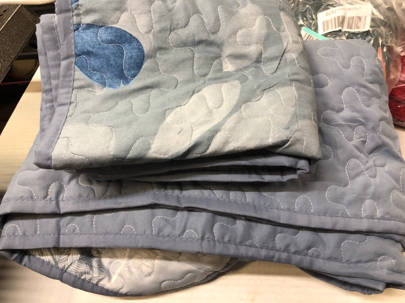 Photo 1 of   Blue Quilt Set Full,3 PCS 