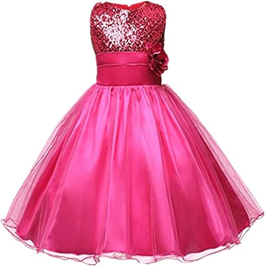 Photo 1 of Dream High Sequined Flower Girls Party Pageant Dress size uknown