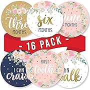 Photo 1 of 16 Monthly Baby Milestone Stickers Girl - Floral Baby Monthly Milestone Stickers for Baby Girl, Milestone Baby Monthly Stickers