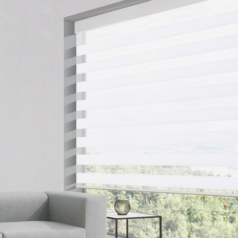 Photo 1 of Grandekor Zebra Blinds for Windows with Valance Cover, Horizontal Dual Roller Shades Light Filtering Light Control Treatments Privacy Day and Night for Bedroom Living Room, White, 34" W x 72" H
