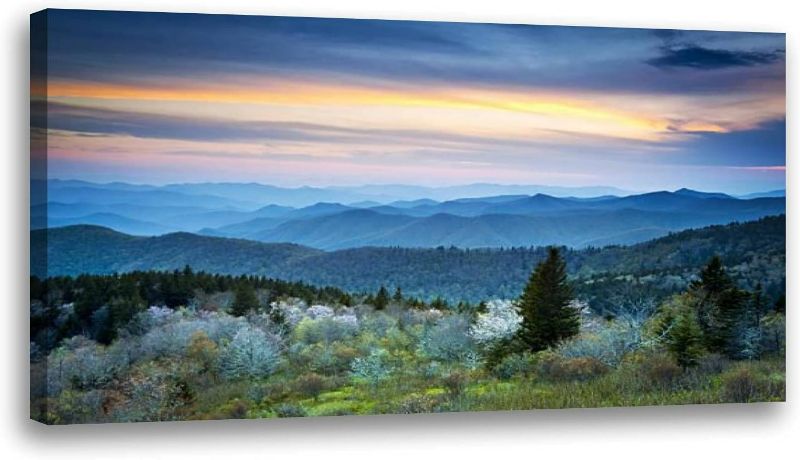 Photo 1 of Large Framed Wall Art Ready to Hang 20" x 40" Scenic Blue Ridge Parkway Appalachians Smoky Mountains Spring Canvas Print Artwork Wall Art Painting Pictures Home Office Wall Décor Modern Poster
