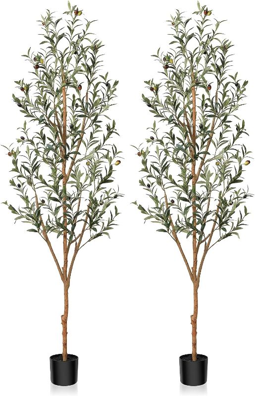 Photo 1 of Kazeila Artificial Olive Tree 6FT Tall Faux Silk Plant for Home Office Decor Indoor Fake Potted Tree with Natural Wood Trunk and Lifelike Fruits, 2 Pack
