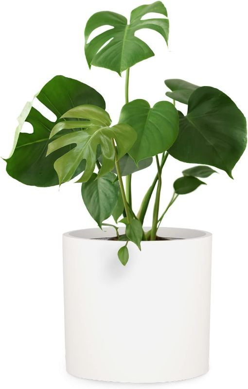 Photo 1 of Fox & Fern Large 15 Inch Matte White Fiberstone Planter, Drainage Plug, Ideal for Indoor and Outdoor Plants
