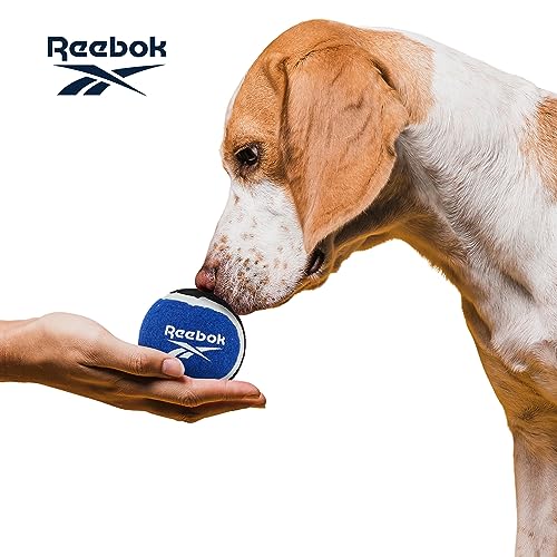 Photo 1 of Reebok Tennis Balls for Dogs –  
