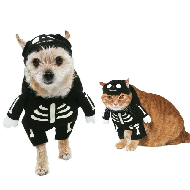 Photo 1 of 1 PC-Size Large for Small Dogs-------Vibrant Life Halloween Dog Costume and Cat Costume: Skeleton Glow-in-the-Dark 