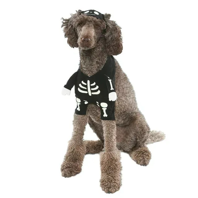 Photo 2 of 1 PC-Size Large for Small Dogs-------Vibrant Life Halloween Dog Costume and Cat Costume: Skeleton Glow-in-the-Dark 