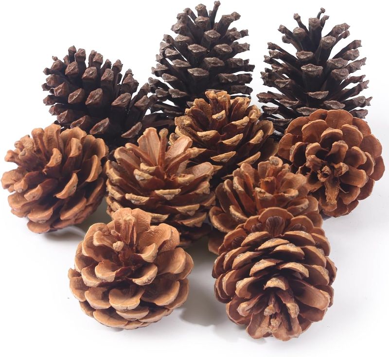 Photo 1 of 
BigOtters 10PCS Large Pinecones for Decorating, Natural Pine Cones for Crafts Christmas Rustic Pinecones Ornaments for Xmas Trees Winter Holidays Table Bowl...