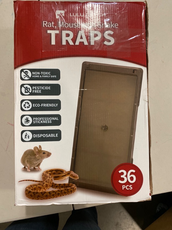 Photo 4 of Qualirey 36 Pack Mouse and Insect Glue Traps, Strong Sticky Mice Traps Indoor for Home, Pre Scented Rodent Traps with Non Toxic Glue for House Garage, Ready to Use, Safe to Children and Pets (Black)
