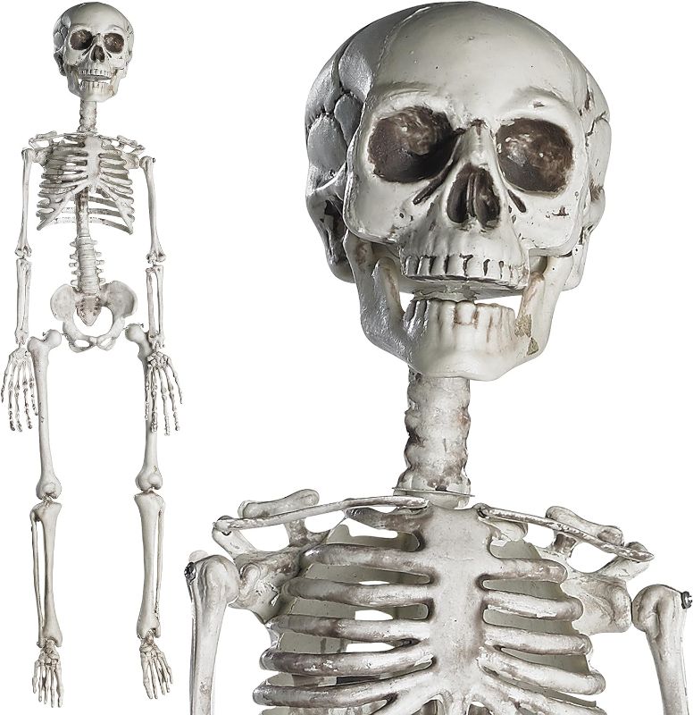 Photo 1 of PREXTEX 30” Halloween Skeleton for Halloween Décor & Day of The Dead Décor - 2.5 ft Full Size Halloween Plastic Skeleton with Movable Joints for Best Halloween Skeletons Decoration - Indoor & Outdoor
