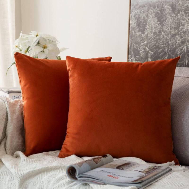 Photo 1 of MIULEE Pack of 2 Burnt Orange Pillow Covers 18x18 Inch Soft Velvet Throw Pillow Covers Set Decorative Couch Throw Pillows Square Cushion Covers Pillowcases for Sofa Bedroom
