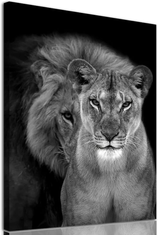 Photo 1 of Lion and Lioness Canvas Wall Art Black and White Animal Pictures for Wall Decor Male and Female Lion Picture for Bedroom Modern Animal Canvas Print Wall Art Contemporary Decor for Home 16x24in No
