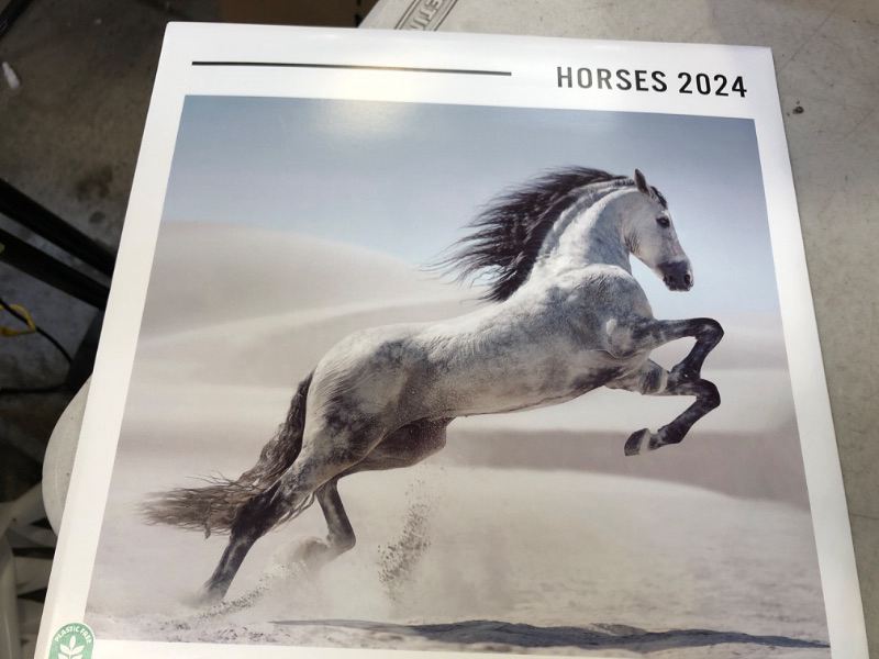 Photo 2 of Horse Calendar 2024 12" x 12" FSC® Plastic Free - Starts Week On Sunday | 12 Month Planner | Square Wall Calendar 2024 | Family Planner Calendar 2024 | Horse Wall Calendar 2024 Horses 2024