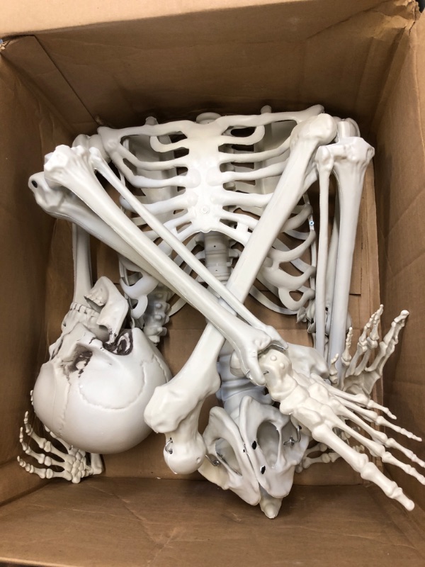 Photo 2 of IDMOP 5.4Ft Halloween Skeleton - Life Size Skeleton Full Body Realistic Human Bones with Posable Joints for Halloween Pose Skeleton Prop Decoration