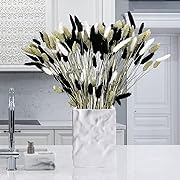 Photo 1 of 120 Pcs Natural Pampas Grass Bouquet Decor Bunny Tail Dried Flowers Black and White Pompas Decorativas in Vase Boho Decor