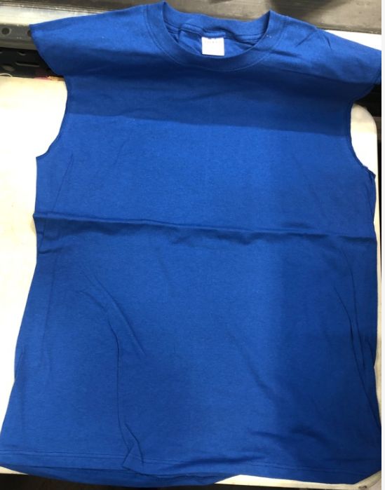 Photo 1 of Size L----Soffe Sleeveless Blue Tank Top