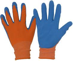 Photo 1 of  Kid Gardening Gloves Foam Rubber Coated