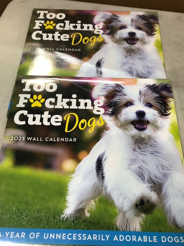 Photo 2 of 2023 Too F*cking Cute Dogs Wall Calendar: A Year of D*mn Adorable Pooches (Funny Monthly Calendar & White Elephant Gag Gift for Dog Lovers) (Calendars & Gifts to Swear By)
2PACK