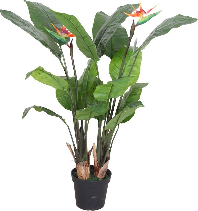 Photo 1 of AMERIQUE 2 psc Feet Unique Bird of Paradise Tree Artificial Silk Plant with Flowers, UV Protection, with Nursery Plastic Pot, Feel Real Technology