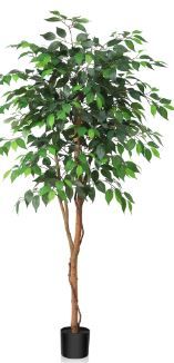 Photo 1 of 5FT Artificial Ficus Tree with Wood Trunk for Living Room, Plant in Black Plastic Pot. DR.Planzen