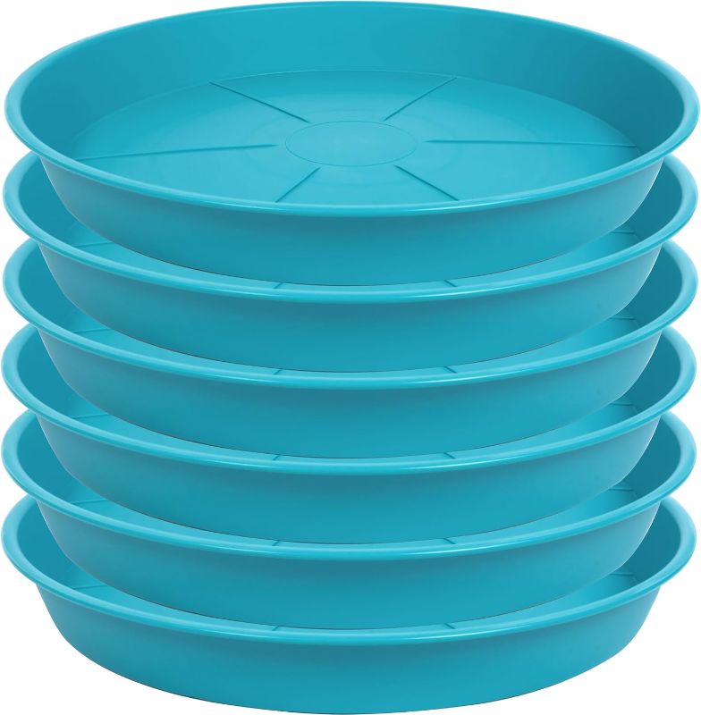 Photo 1 of 6 Pack of Plant Saucer Tray 4 6 8 10 12 14 17 19 22 25 inch, Heavy Duty Plastic Pot Plant Drip Trays Saucers for for Indoors Outdoor, Plant Water Tray for Planters 3-5" (4", Teal)
