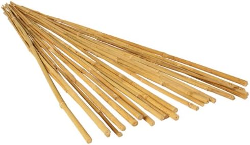 Photo 1 of 
Hydrofarm HGBB6 6' Natural, pack of 24 Bamboo Stake, Tan