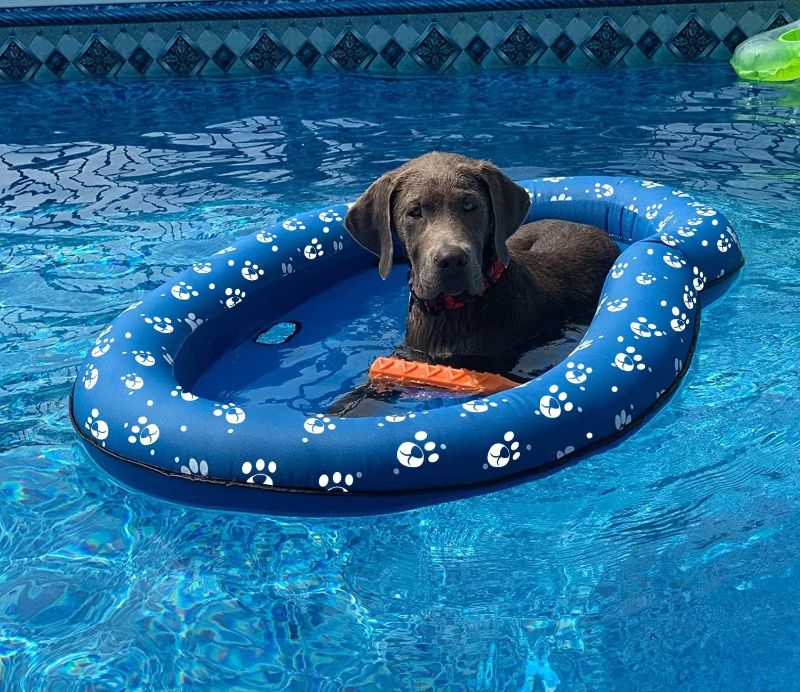 Photo 1 of Dog Pool Float Inflatable Dog Floats for Pool Dog Floaties Swimming Pool Floats for Small Medium Large Dog Puncture Proof