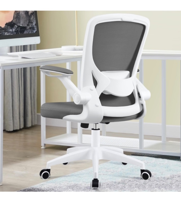 Photo 1 of KERDOM Ergonomic Office Chair, Breathable Mesh Desk Chair, Lumbar Support Computer Chair with Wheels and Flip-up Arms, Swivel Task Chair, Adjustable Height Home Gaming Chair (LightGray)