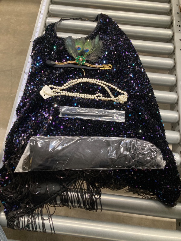 Photo 1 of Women's 1920s Flapper Sequin Fancy Costume Dress Great Gatsby Party Dress