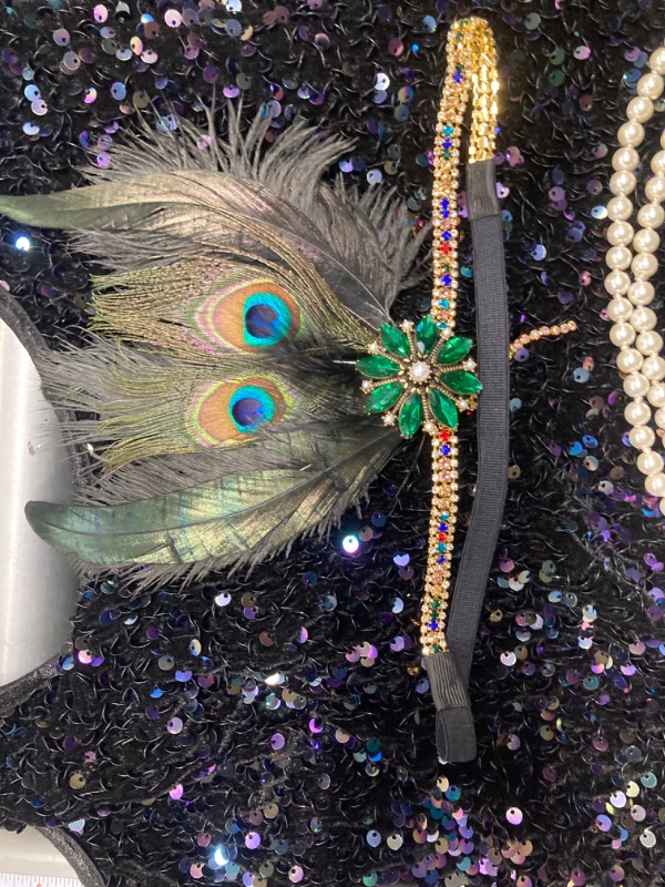 Photo 1 of Women's 1920s Flapper Sequin Fancy Costume Dress Great Gatsby Party Dress