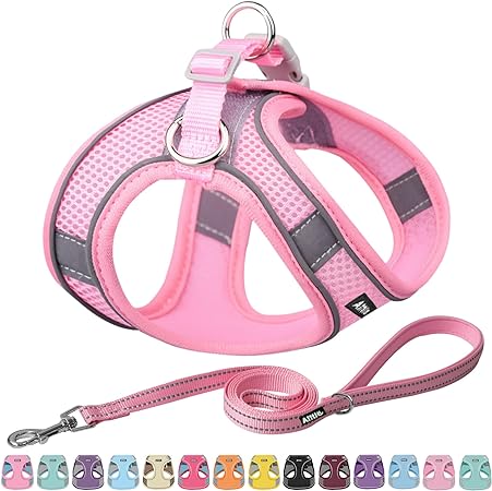 Photo 1 of AIITLE Dog Harness, No-Pull Cat Harness with a Leash, Adjustable Reflective Dog Vest, Cat Harness Escape Proof, Outdoor Walking, Running,Training for Extra Small Dogs and House Cats Pure Pink