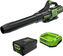 Photo 1 of Greenworks 40V (160 MPH / 700 CFM / 75+ Compatible Tools) Cordless Brushless Axial Leaf Blower, 8.0Ah Battery and Charger Included Brushless Blower (700 CFM), 8.0Ah