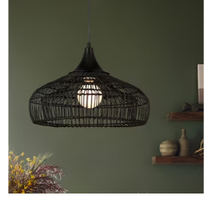 Photo 1 of allen + roth Reece Black Traditional Bell Hanging Pendant Light
Item #2469972 |

Model #KHU4991A

