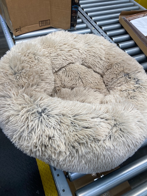 Photo 3 of Best Friends by Sheri The Original Calming Donut Cat and Dog Bed in Shag Fur Taupe, Small 23" https://a.co/d/bspM1SZ