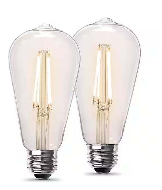 Photo 1 of 60-Watt Equivalent ST19 Dimmable Straight Filament Clear E26 Vintage Edison LED Light Bulb, Soft White 2700K (2-Pack)