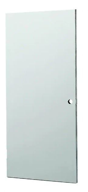 Photo 1 of  80 in. Metal Commercial Door