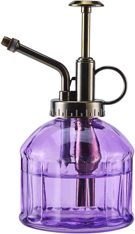 Photo 1 of Glass Plant Mister Spray Bottle, 6.5" Tall Vintage Plant Spritzer Watering Can, Succulent Watering Bottle with Top Pump, Small Plant Sprayer Mister for Indoor Outdoor House Plant - Purple