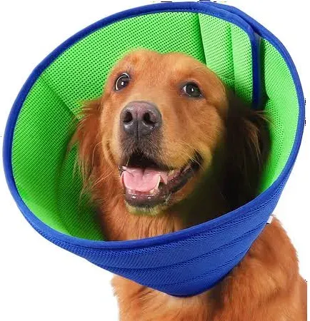 Photo 1 of (**EXAMPLE PHOTO**) Smooth Eva Dog Cone