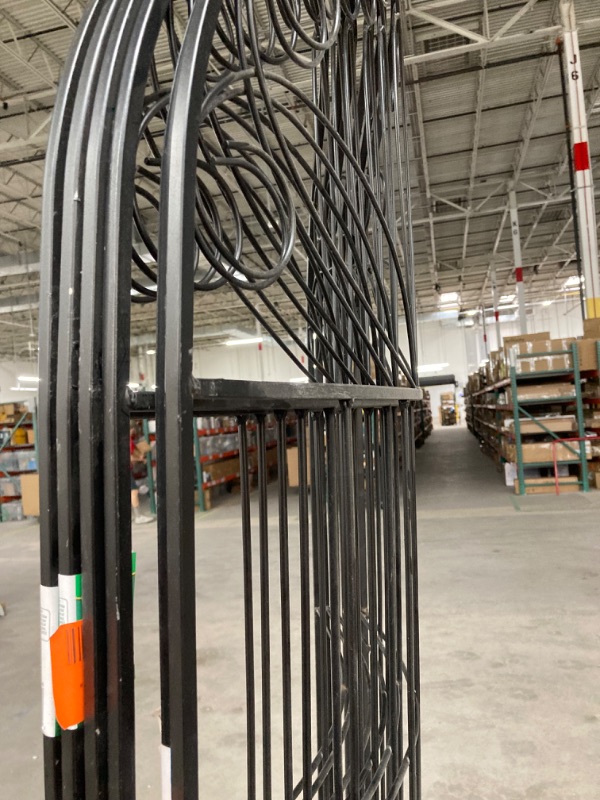Photo 1 of 80 in. Black Steel Scroll Curved Trellis