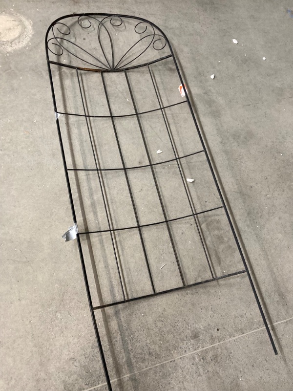 Photo 1 of 80 in. Black Steel Scroll Curved Trellis