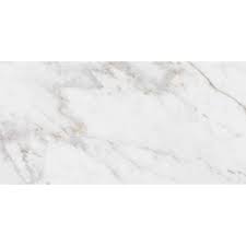 Photo 1 of 12 in. x 24 in. Color Body Porcelain Floor and Wall Tile (17.01 sq. ft./case)