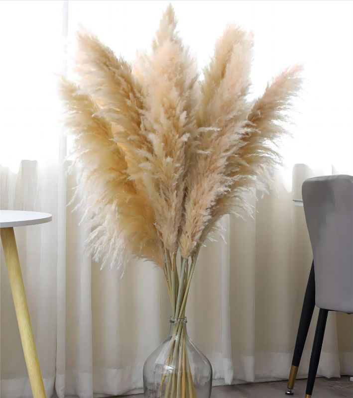 Photo 1 of 9 Stems Pampas Grass Decor Tall 48''/4 FT, Long Fluffy Dried Pompas Grass, Large Pampas Grass for Floor Vase, Rustic Wedding, Baby Shower, Party, Farmhouse, Boho Home Decor 9pcs/48inch