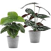 Photo 1 of AOKKR Set of 2 Artificial Potted Plants, Fake Plants Artificial Potted Faux Plants for Office Desk, Home Farmhouse Decor, Living Room, Shelf, Height 12.6 Inch