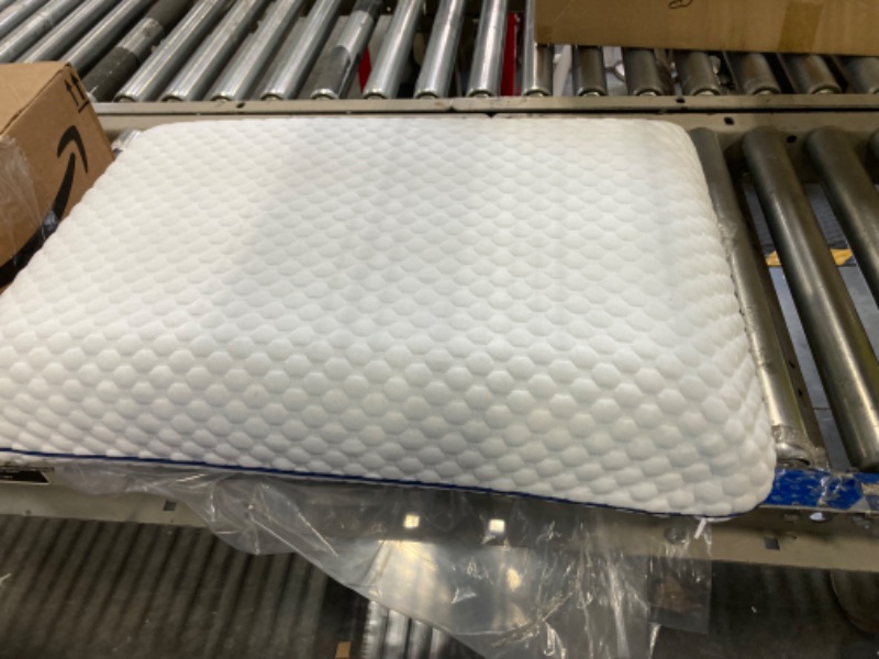Photo 1 of 25inx16in white pillow weekender